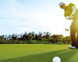 Golf Grass